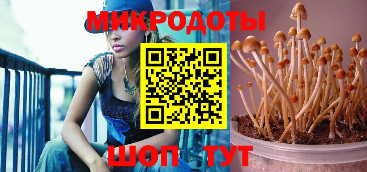 Рязань  Галлюциногенные грибы Psilocybe  Галлюциногенные грибы мухоморы  Вход с VPN 